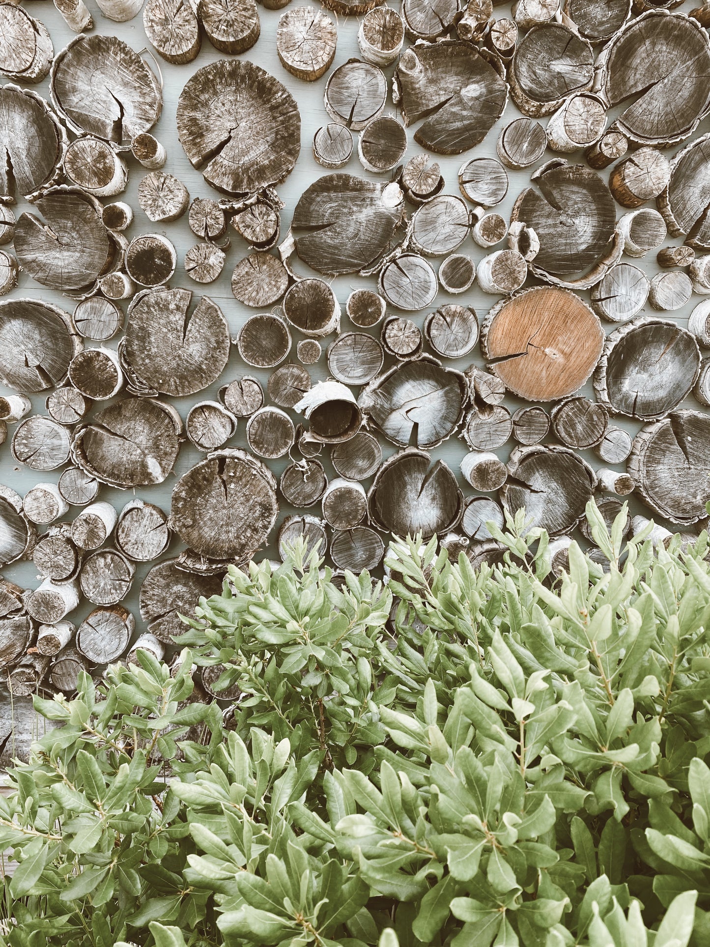 Wood Greens