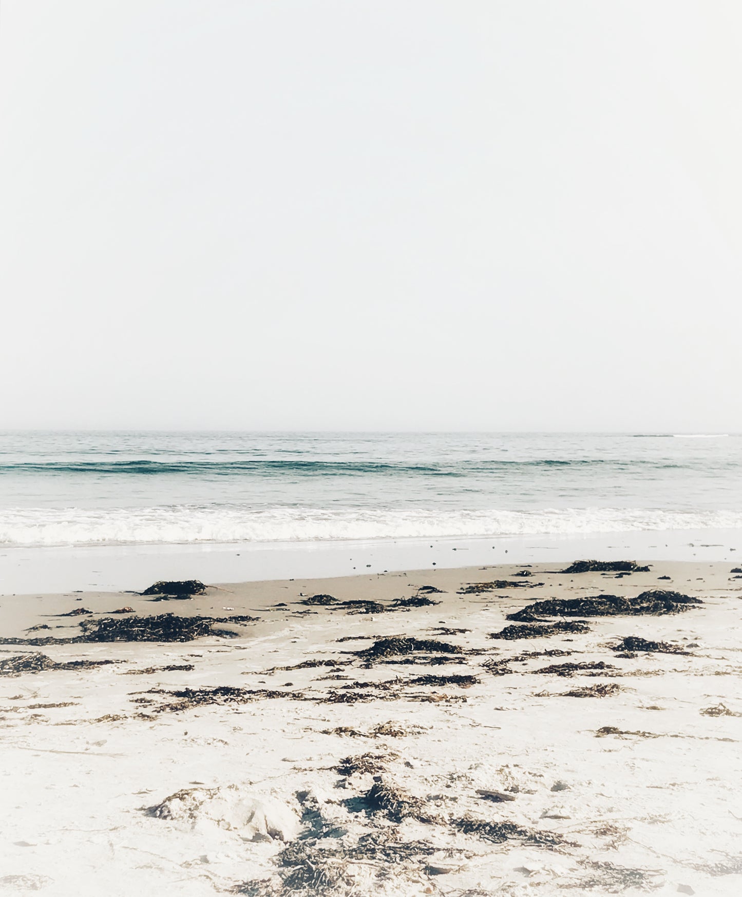 Beachscape