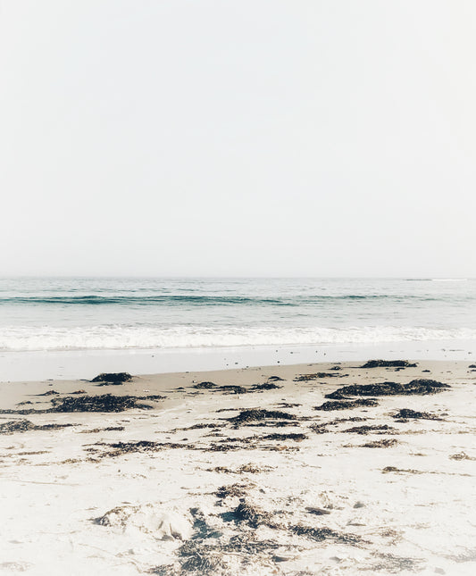 Beachscape