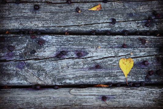 Berry Yellow Heart