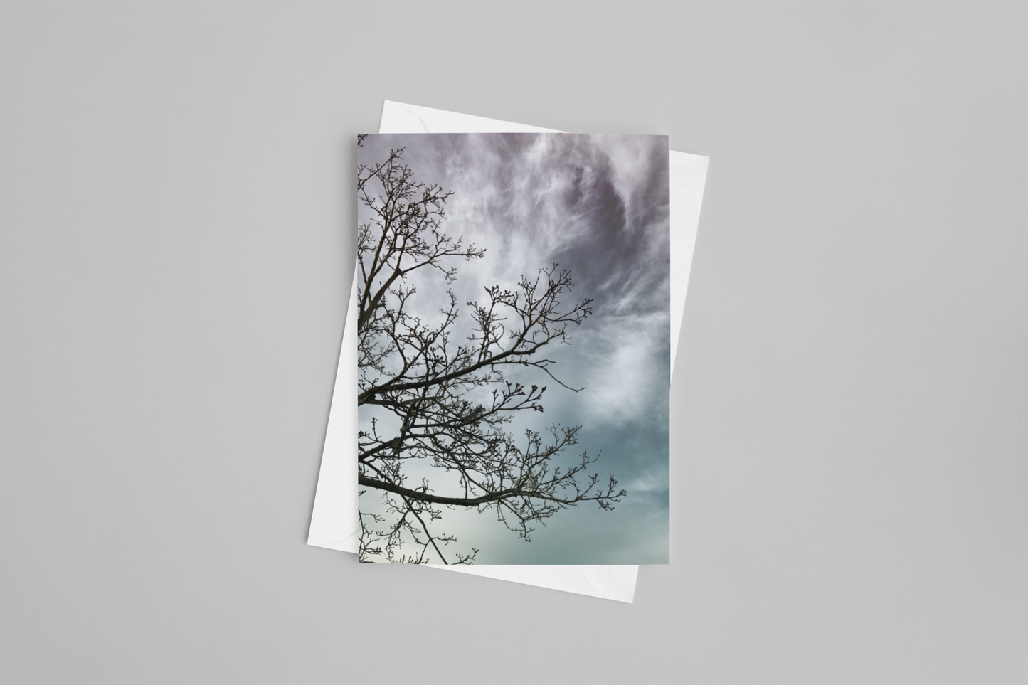 Branching Twilight