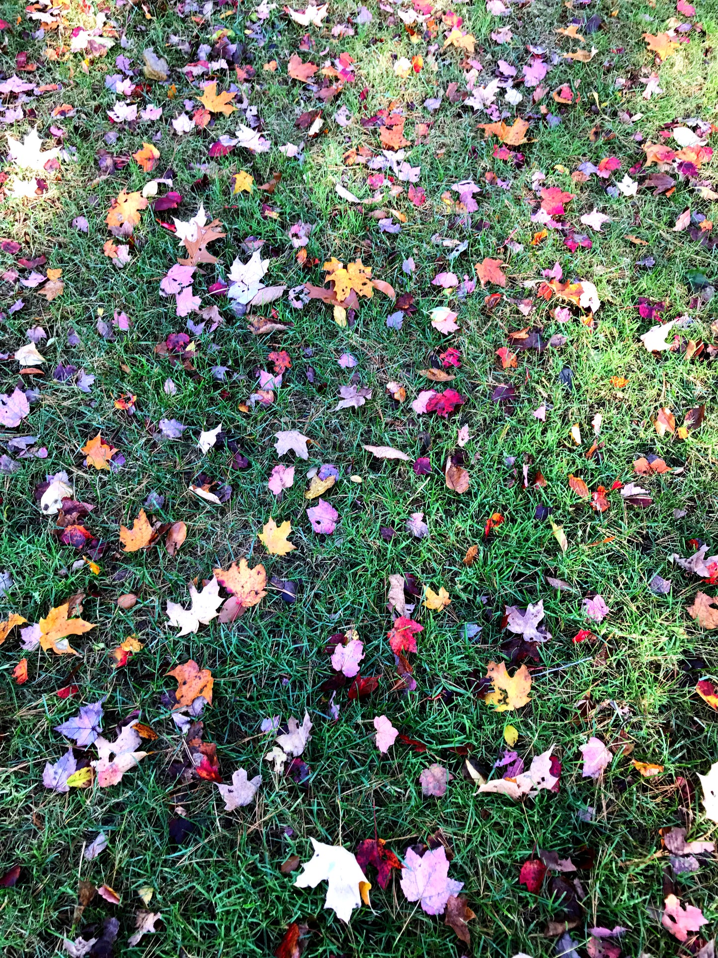ColorFall