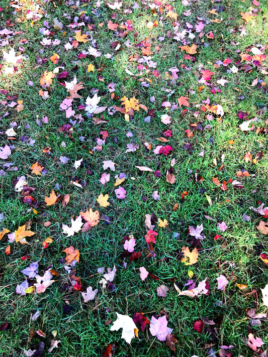 ColorFall