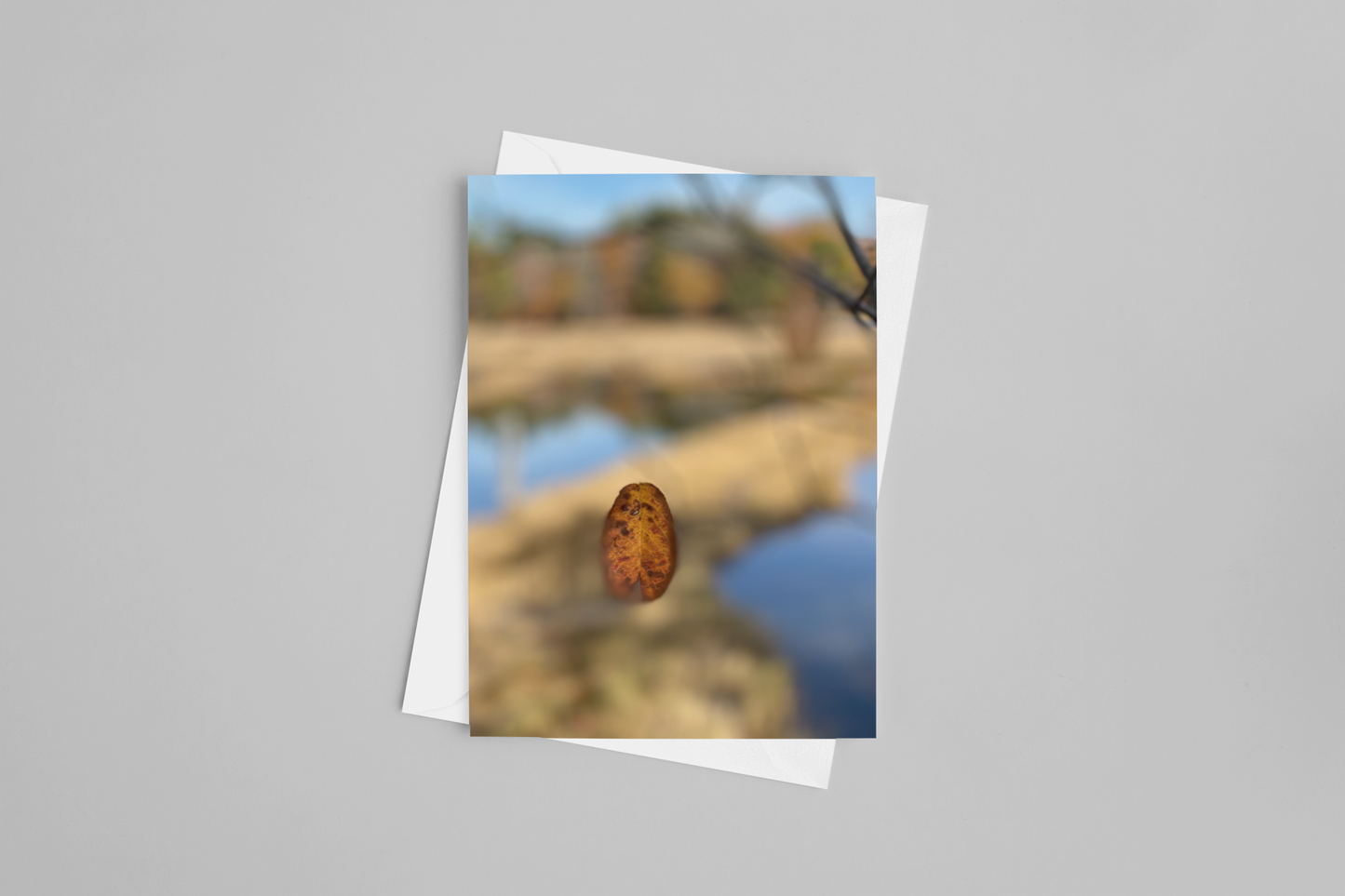 Drop Leaf