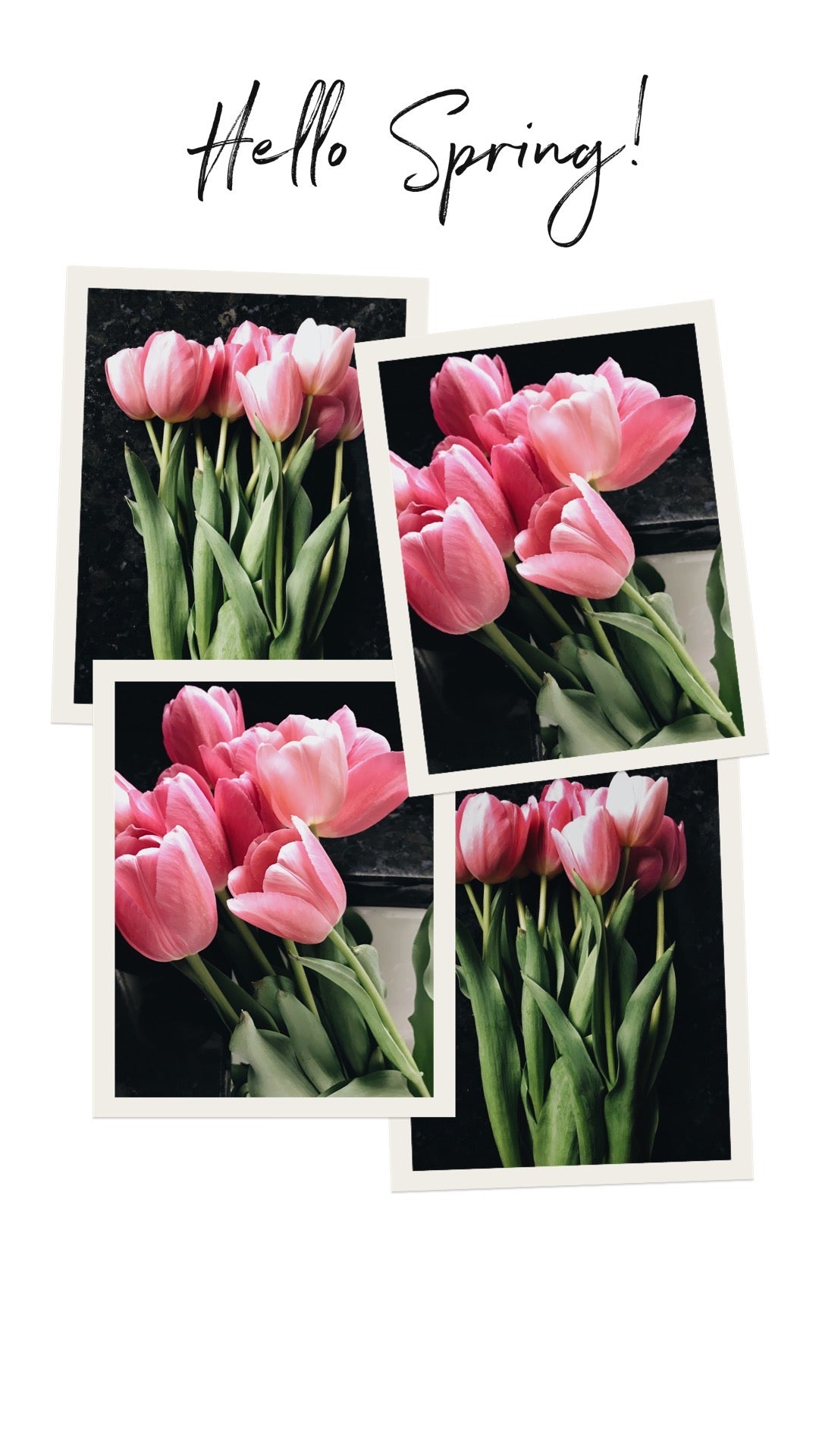 Hello Spring!