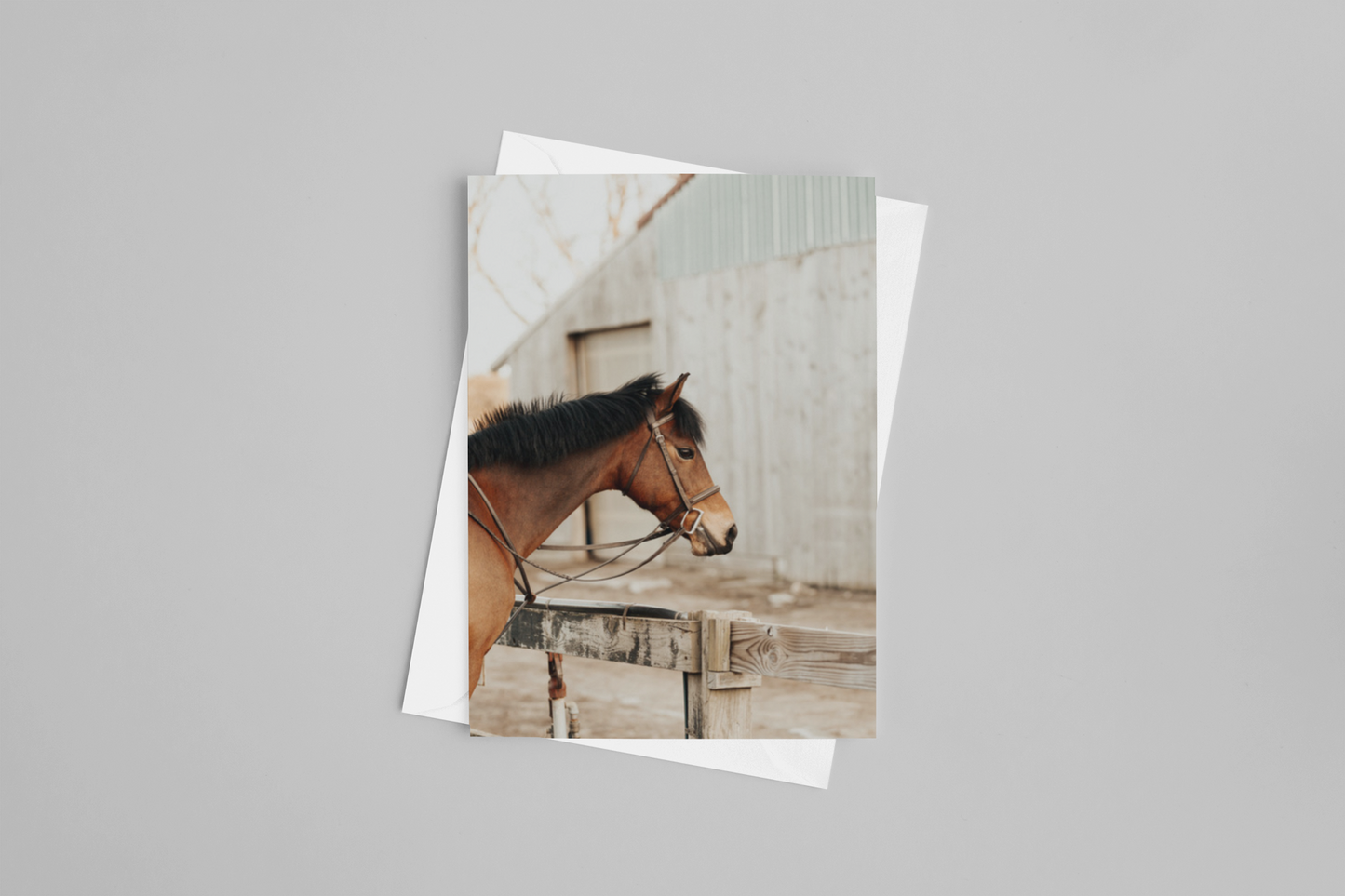 Horse Barn