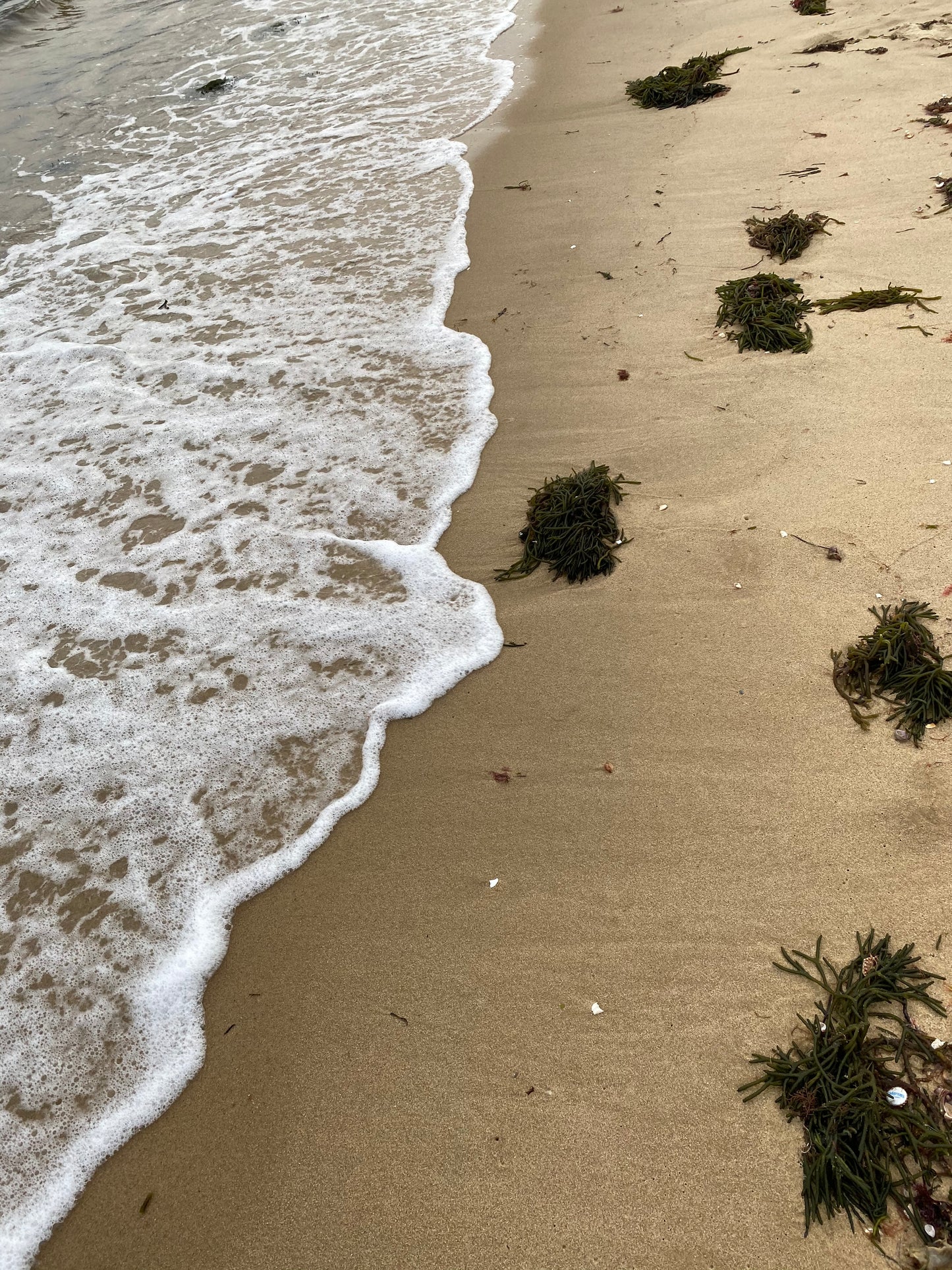 Half Beach