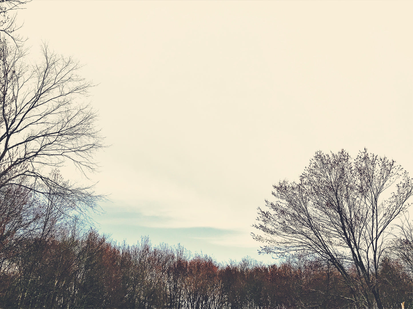 In Between