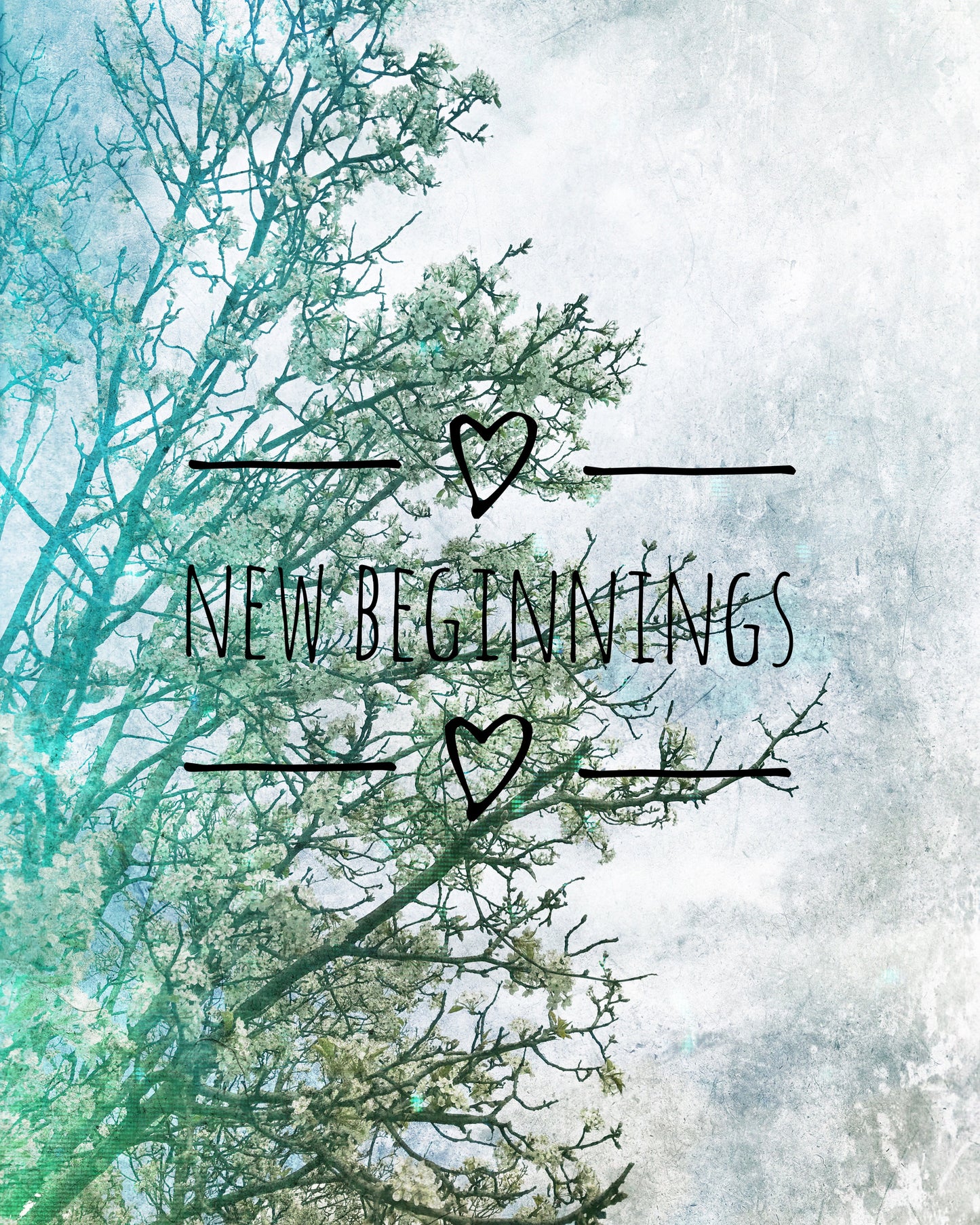 New Beginnings