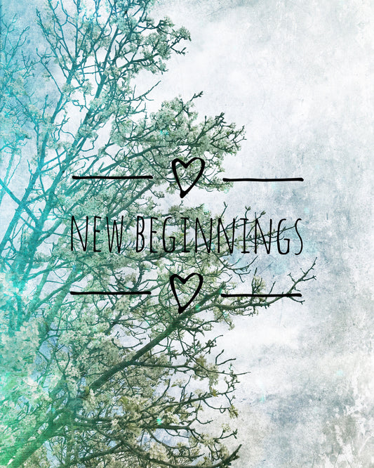 New Beginnings