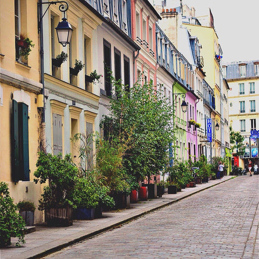 Parisian Palette