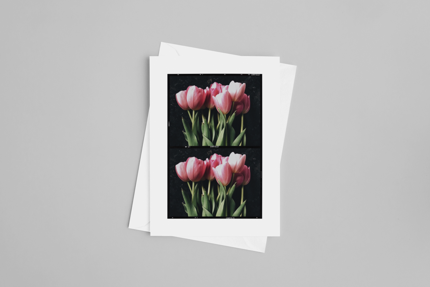 Tulip Duo