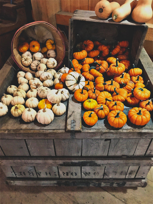 Pumpkin Stack