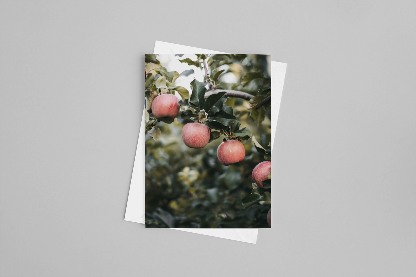 QuadrApple