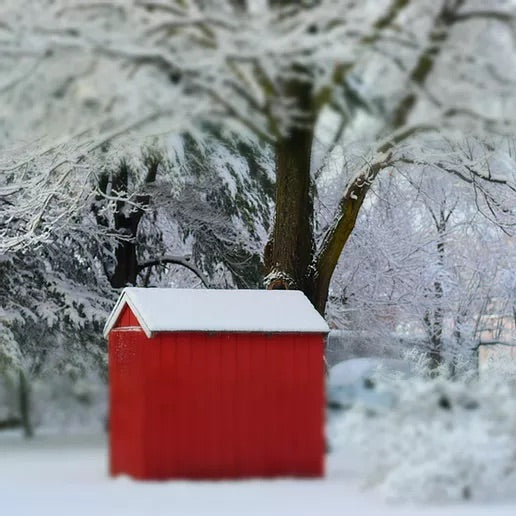 Winter's Crimson