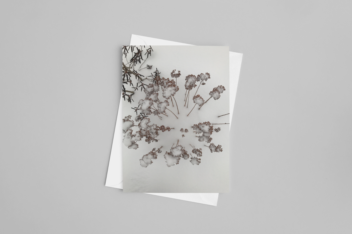 Snow Flowers
