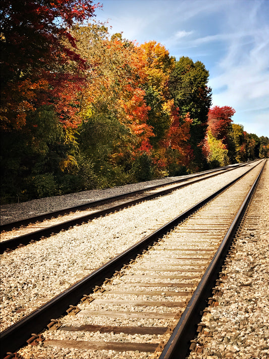 Train Fall