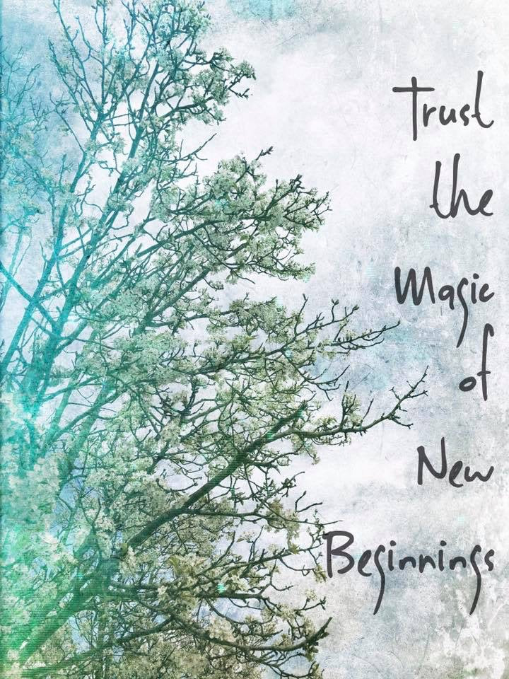 Trust the Magic of New Beginnings