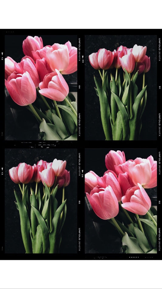 QuadTulips