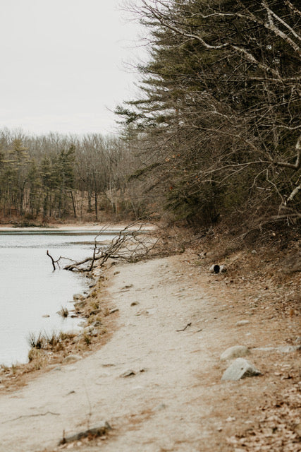 Walden's Edge