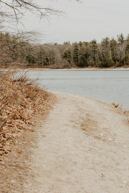 Walden Whispers
