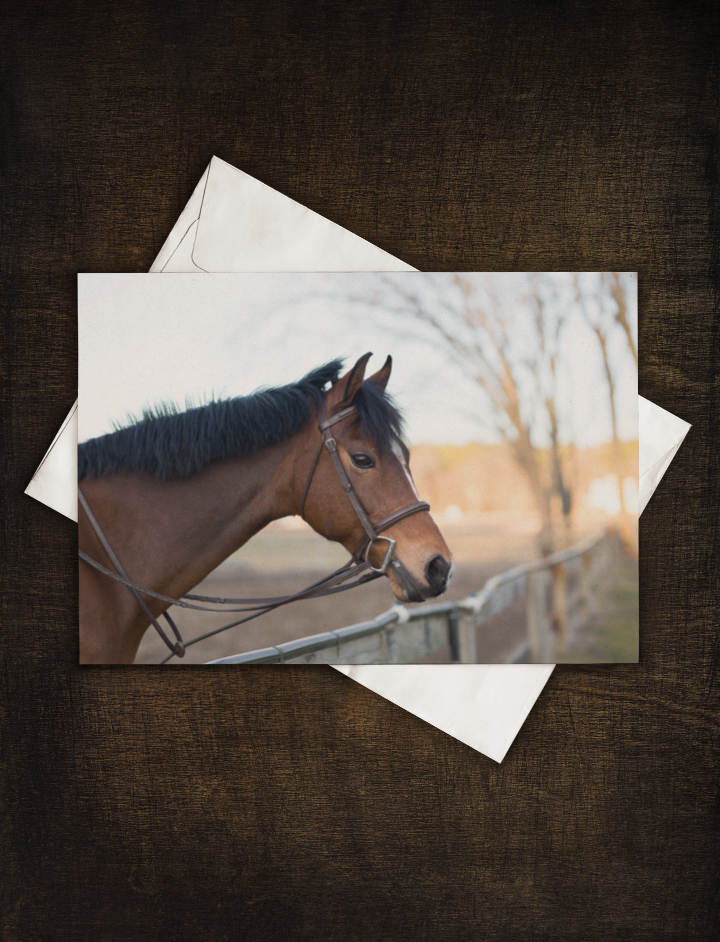 Sunset Horse