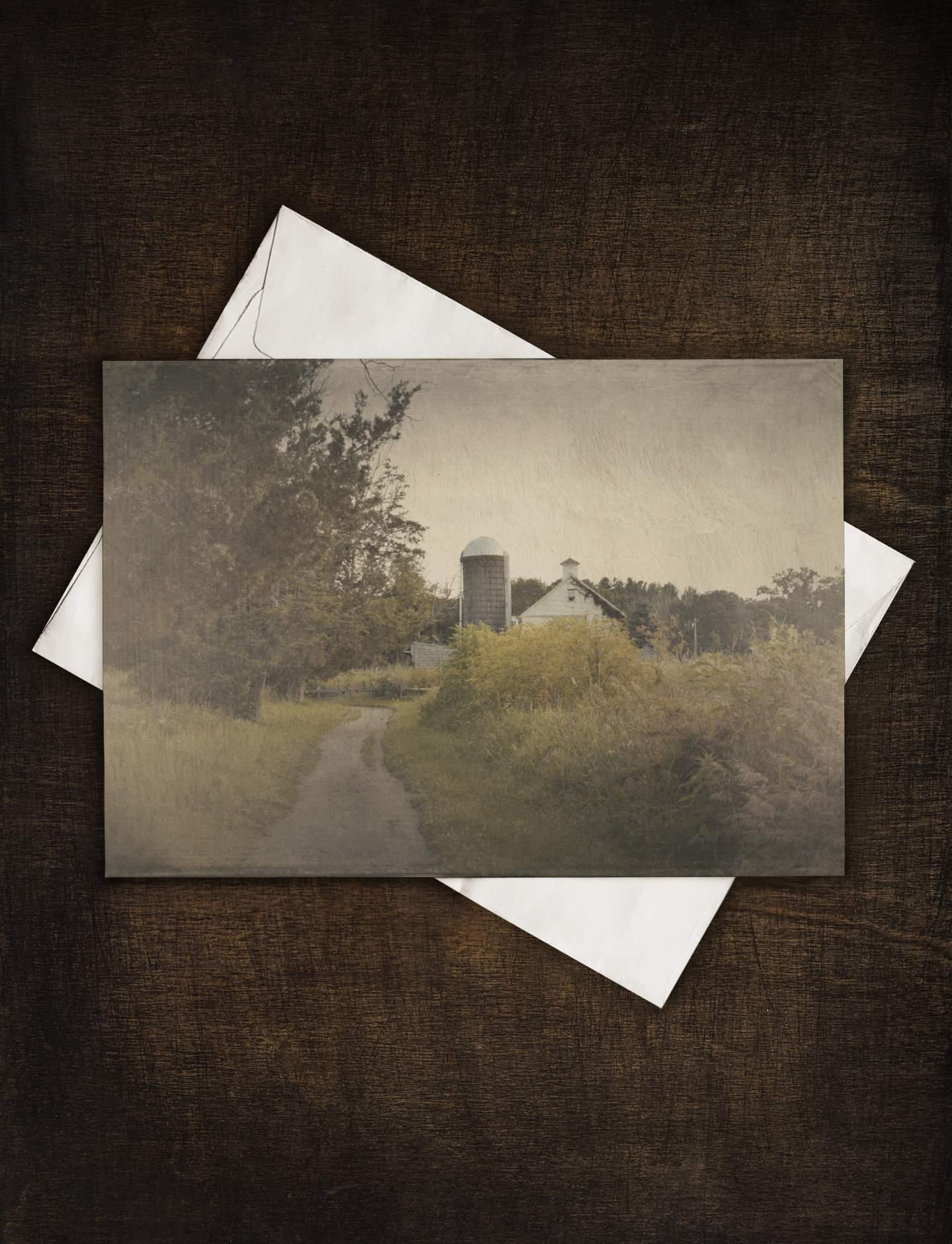 Barnside Path